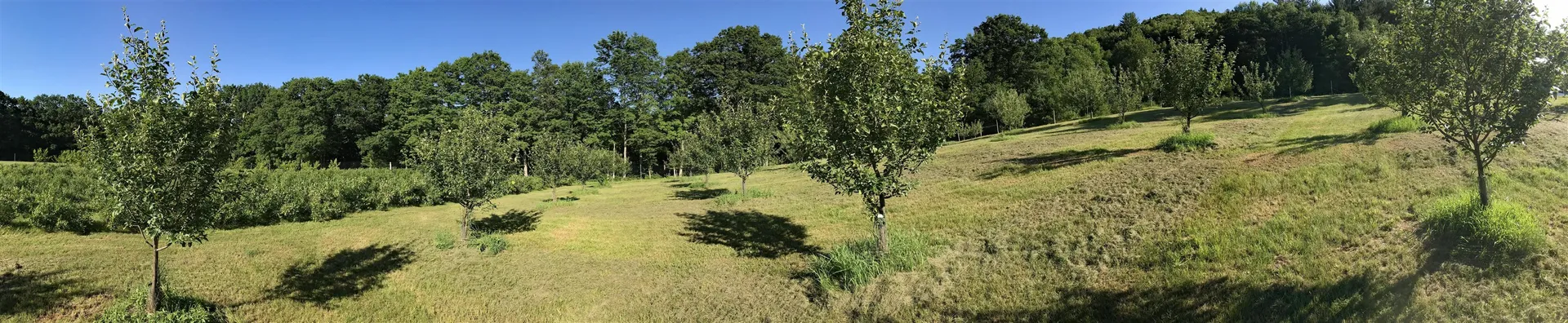 218 Depot Road Newfane VT 05362