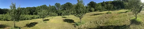 218 Depot Road Newfane VT 05362