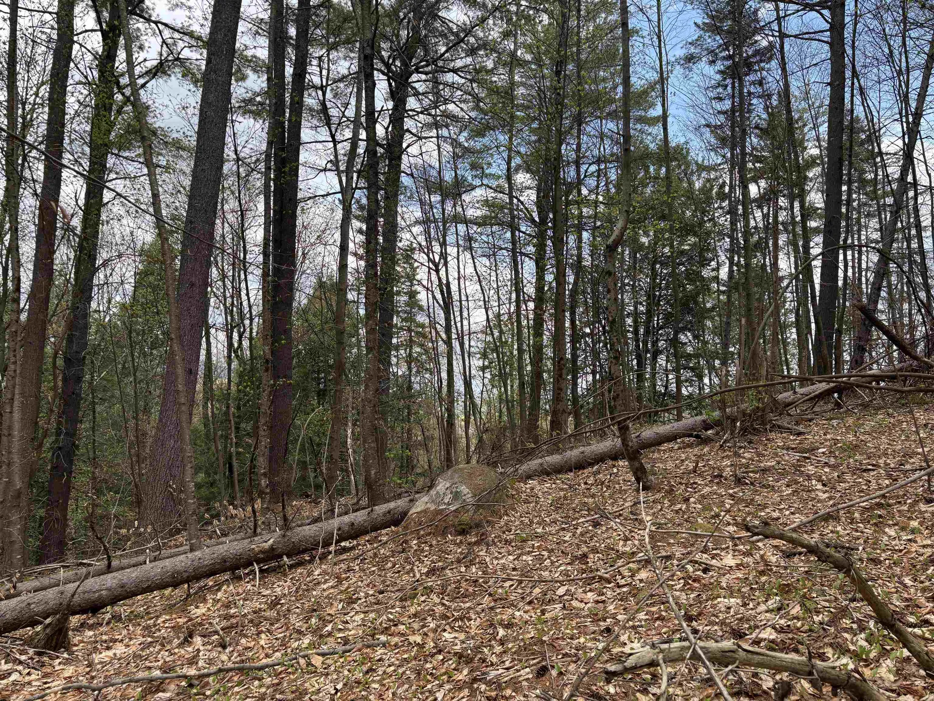 00 Snell Road Chester VT 05143