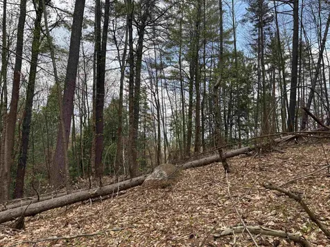 00 Snell Road Chester VT 05143