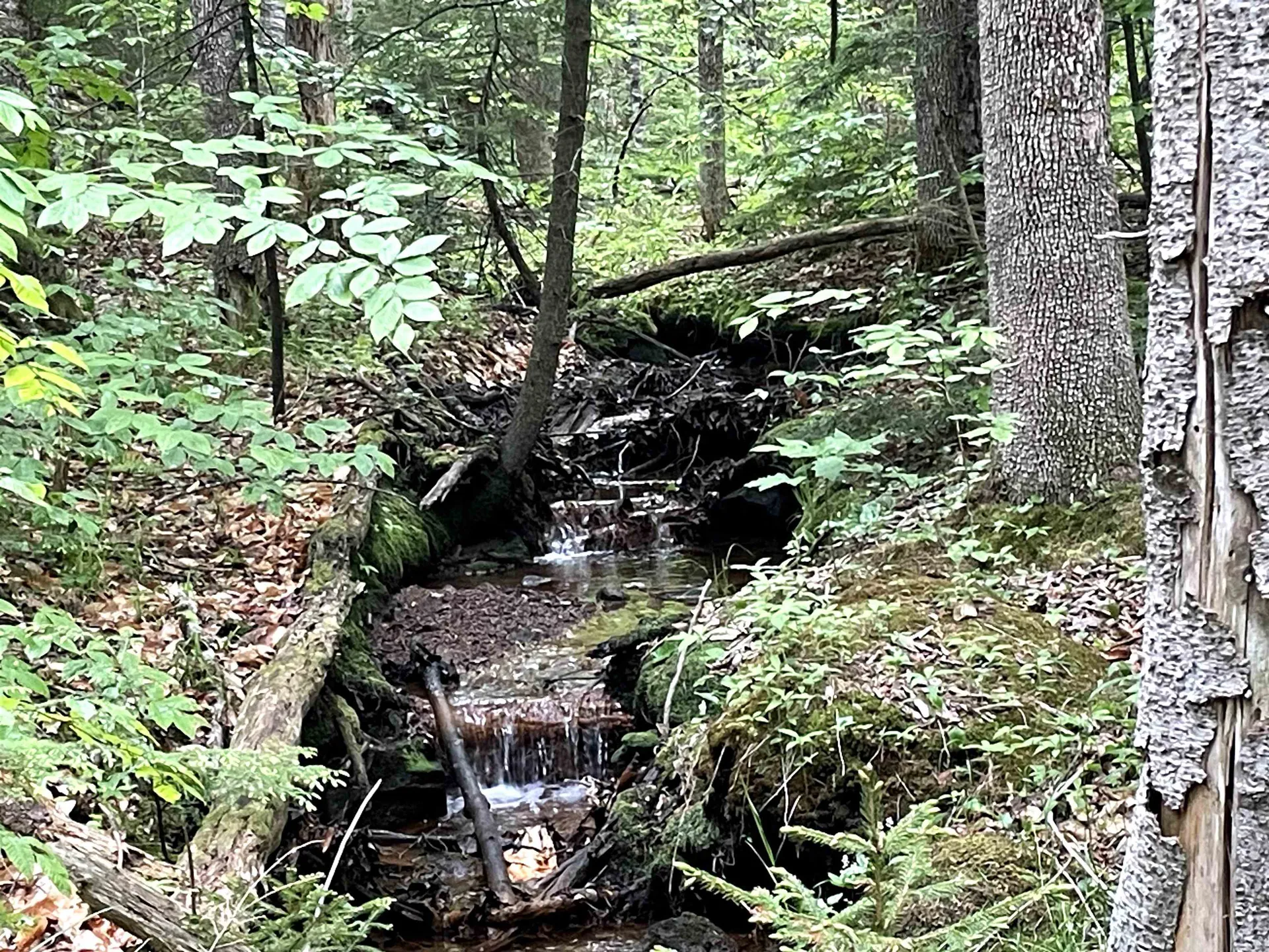 40 Hominy Pot Road Sutton NH 03221