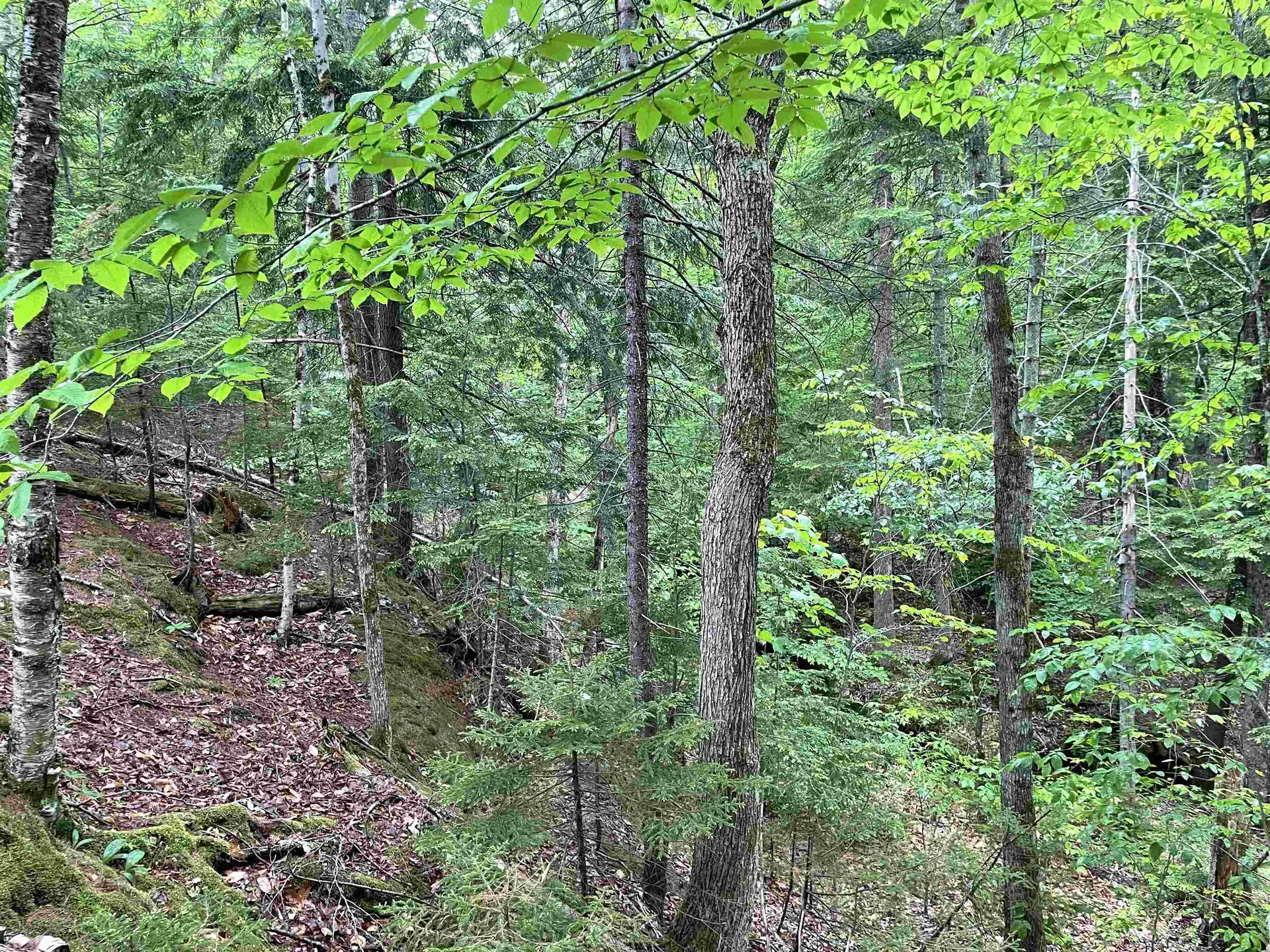 40 Hominy Pot Road Sutton NH 03221