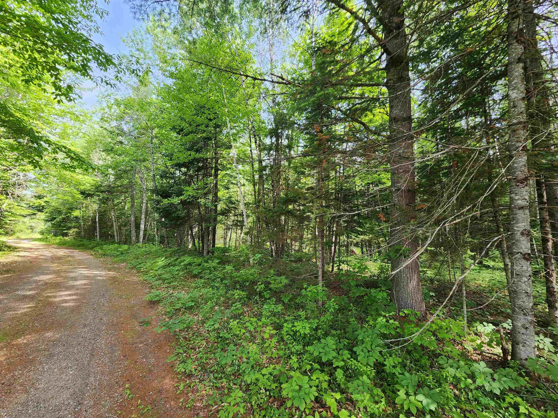 00 Boise Cascade Road Dummer NH 03579