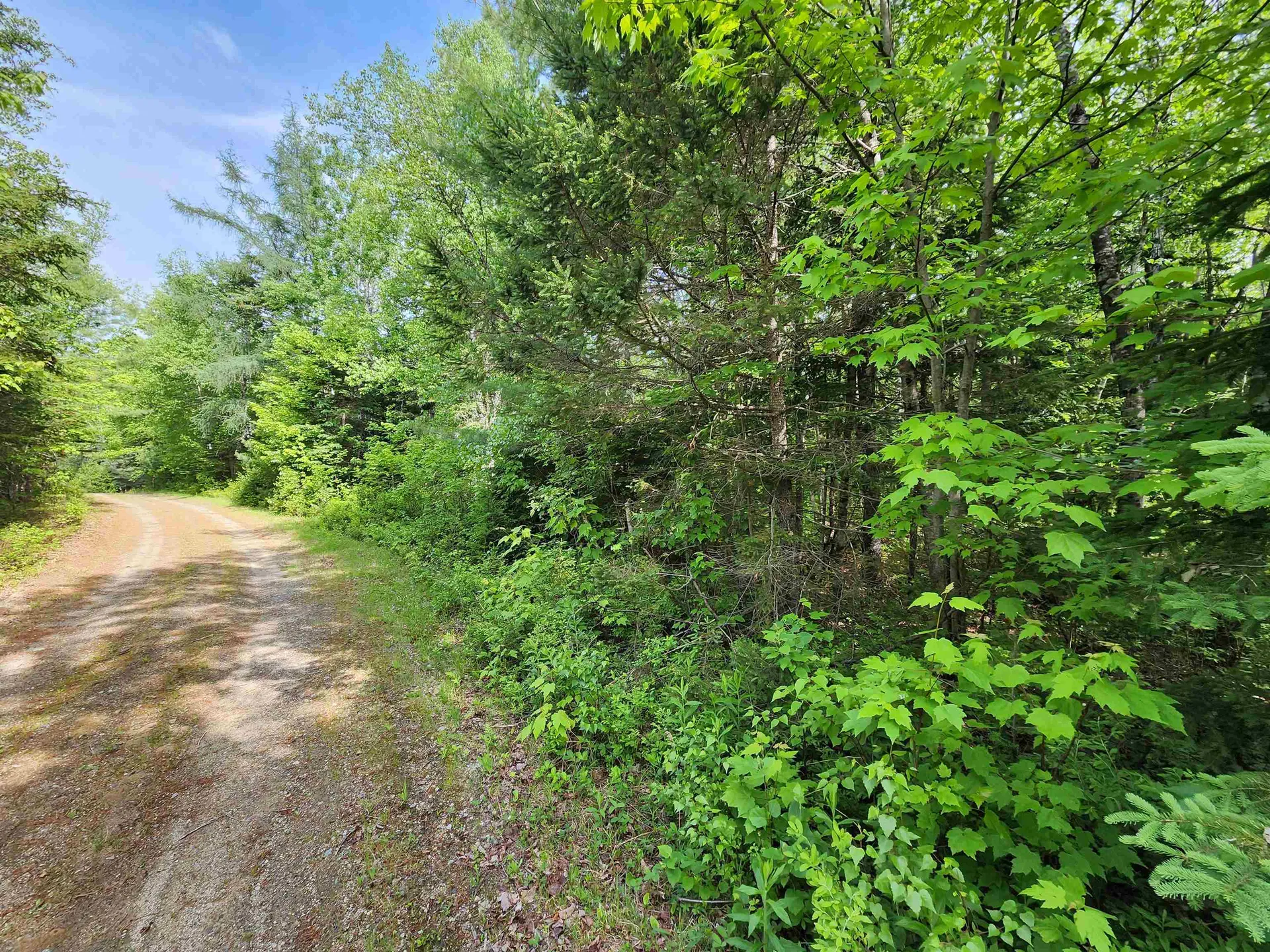 00 Boise Cascade Road Dummer NH 03579