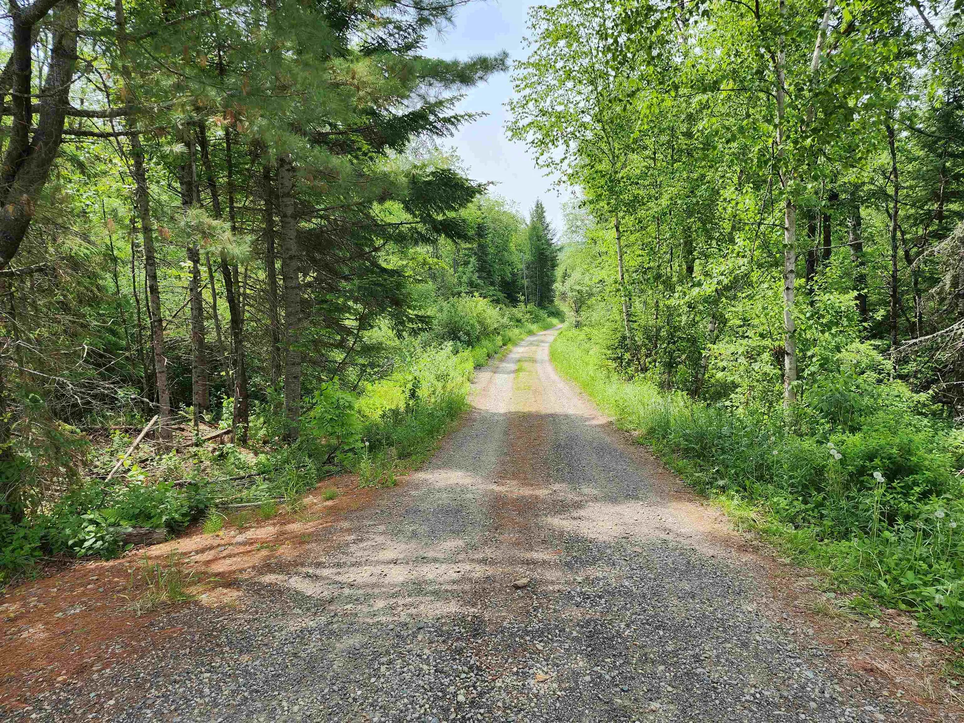 00 Boise Cascade Road Dummer NH 03579