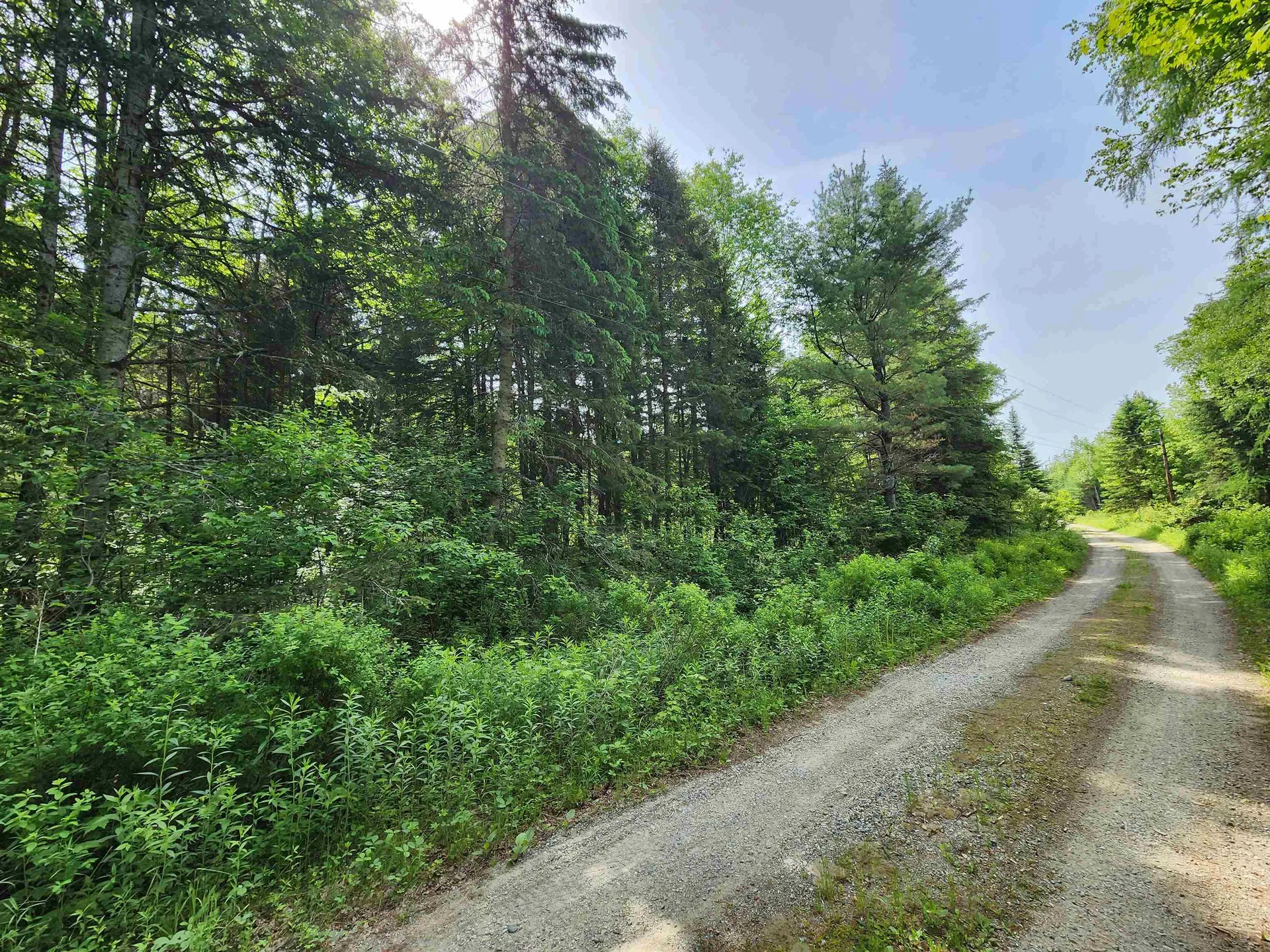 00 Boise Cascade Road Dummer NH 03579