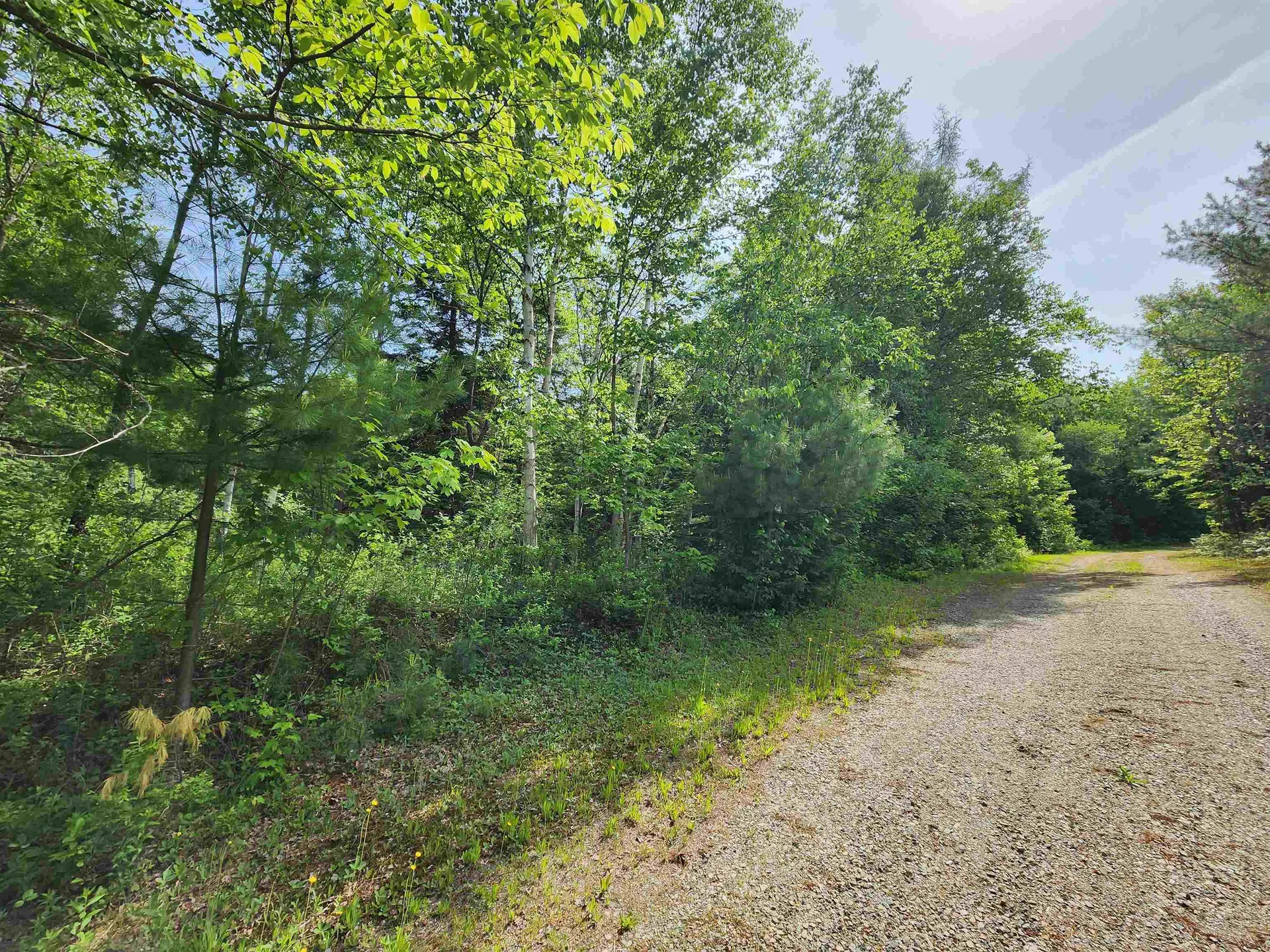 00 Boise Cascade Road Dummer NH 03579