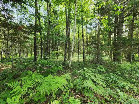 00 Boise Cascade Road Dummer NH 03579