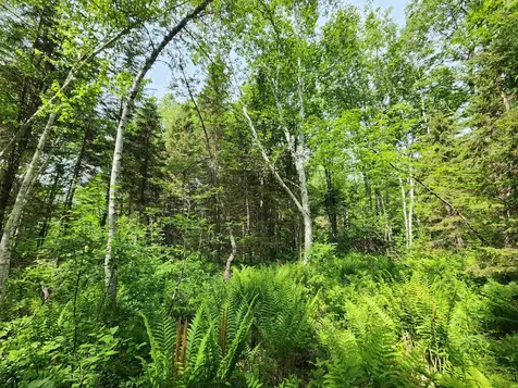 00 Boise Cascade Road Dummer NH 03579