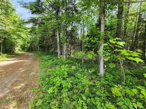 00 Boise Cascade Road Dummer NH 03579