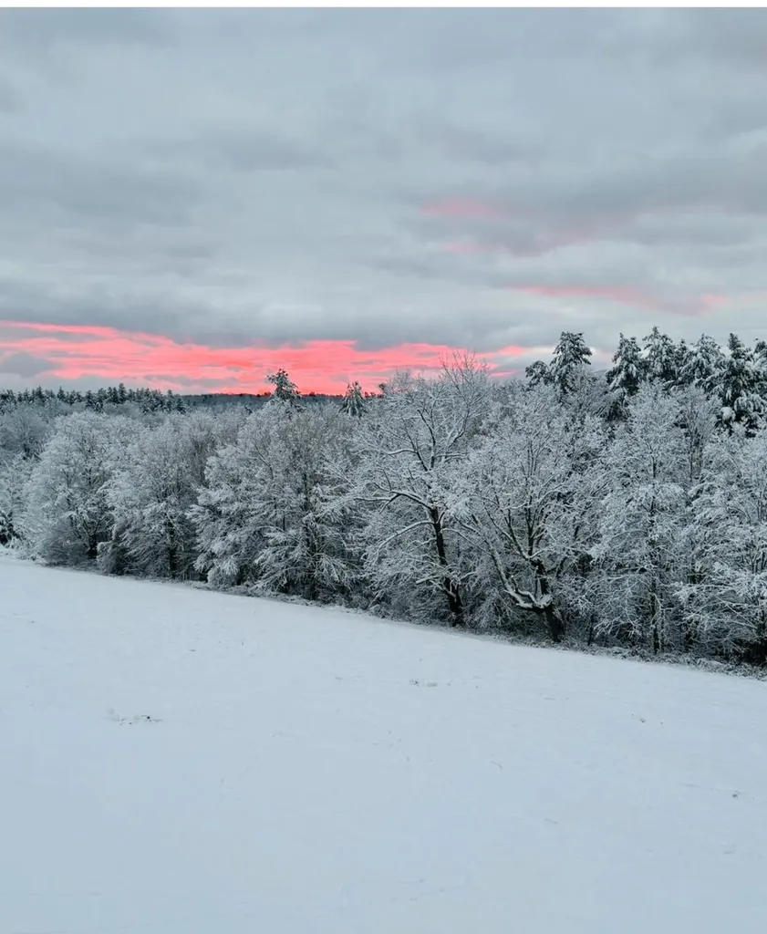 514 Robinson Road Shrewsbury VT 05738