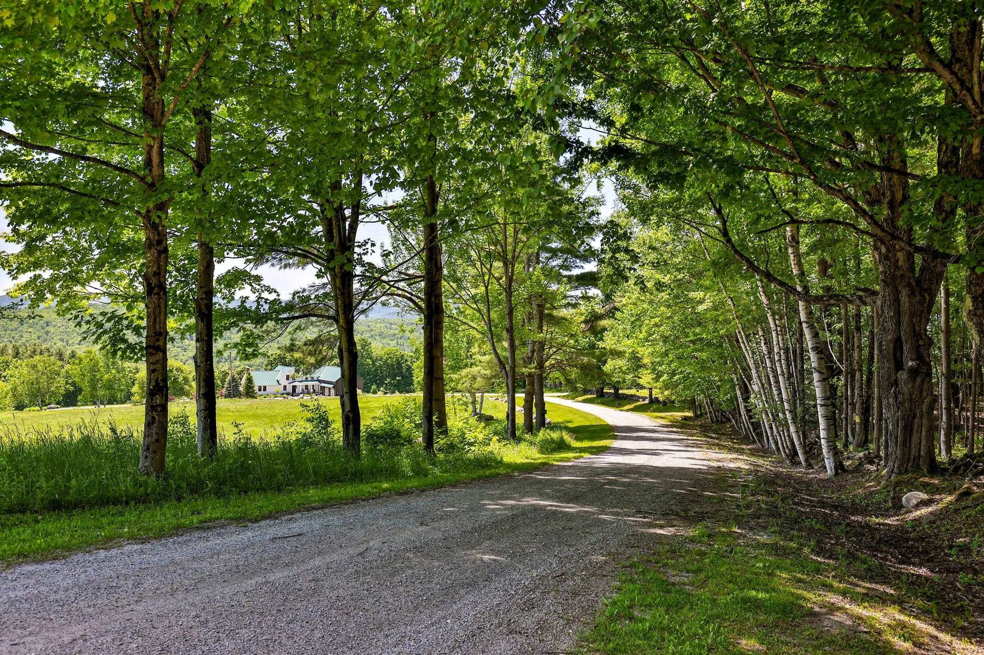 514 Robinson Road Shrewsbury VT 05738
