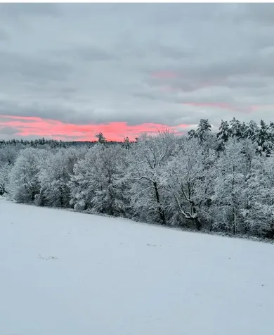 514 Robinson Road Shrewsbury VT 05738