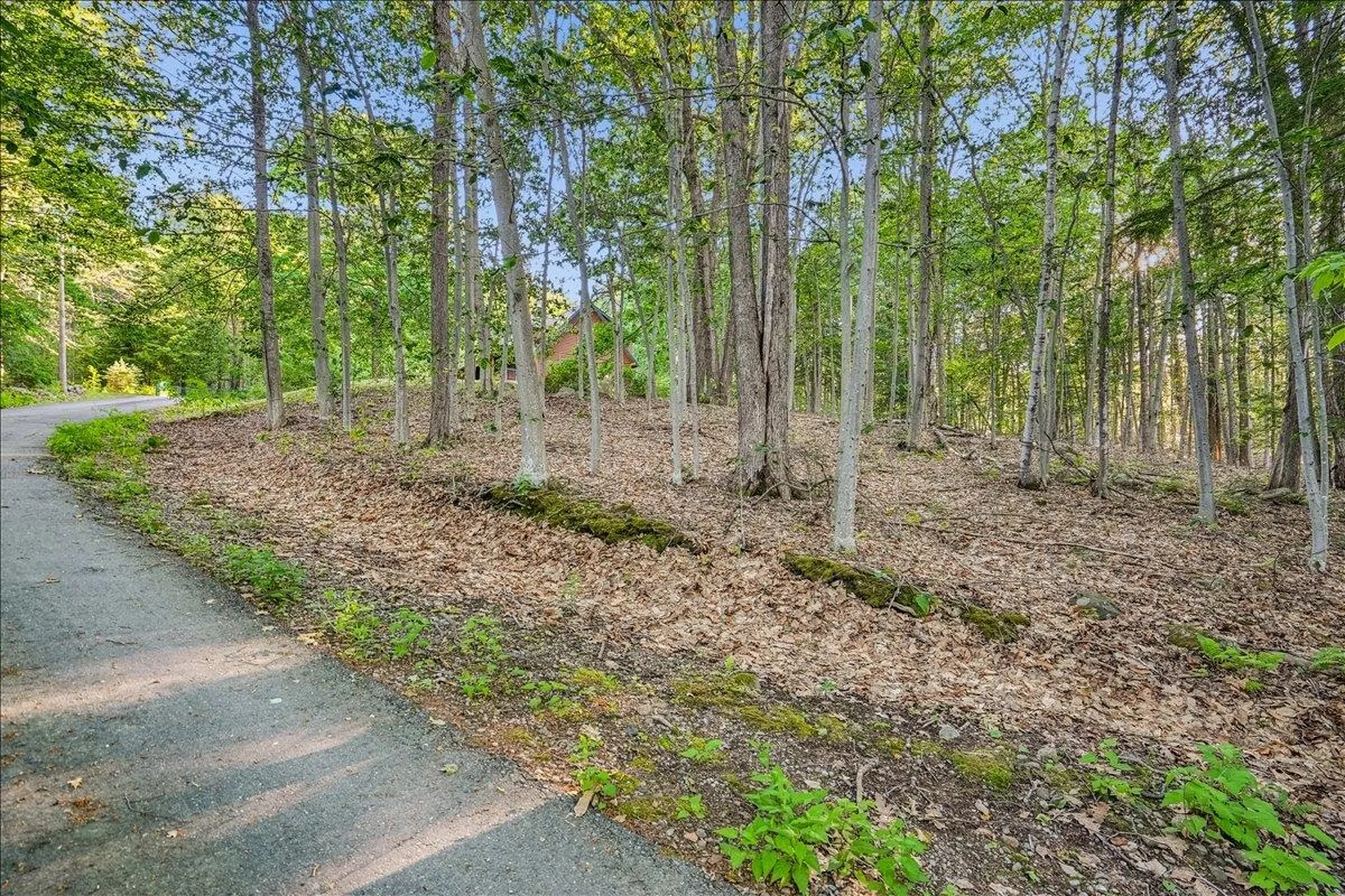 33 Quaker Road New Durham NH 03855
