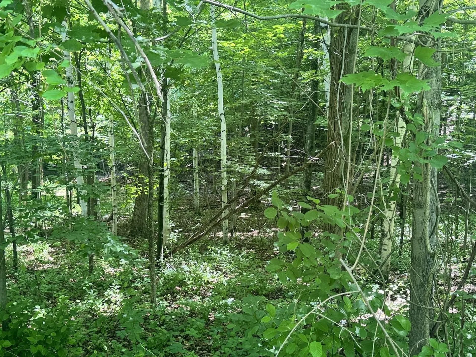 00 Mountain Road Chesterfield NH 03466