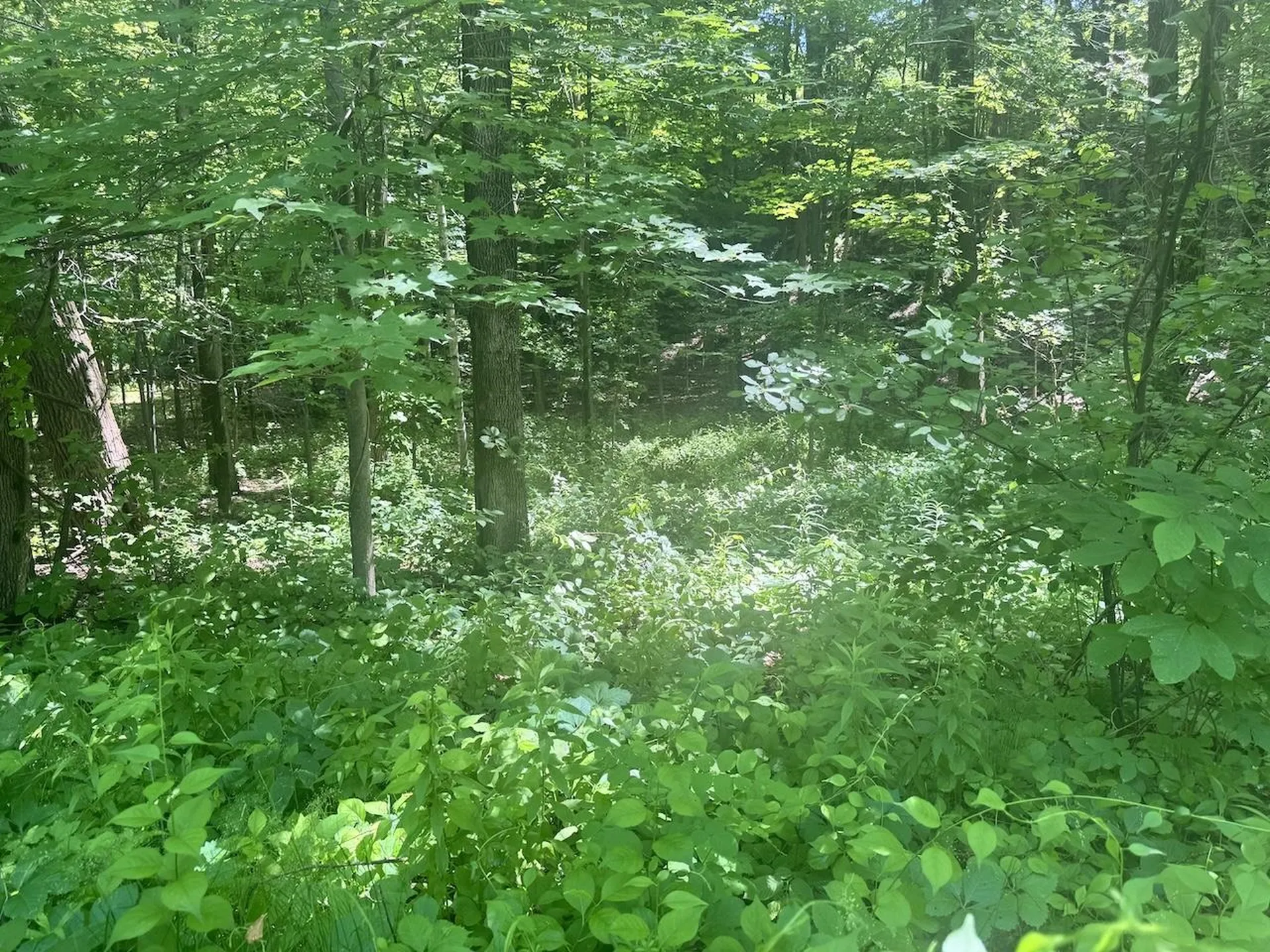 00 Mountain Road Chesterfield NH 03466