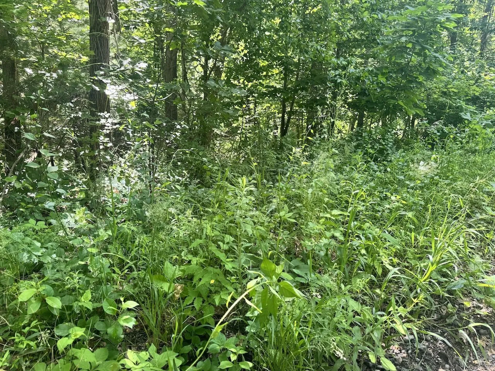 00 Mountain Road Chesterfield NH 03466
