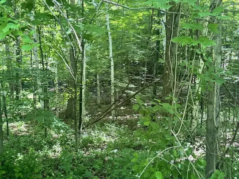 00 Mountain Road Chesterfield NH 03466