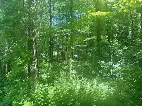 00 Mountain Road Chesterfield NH 03466