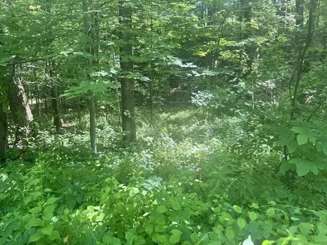 00 Mountain Road Chesterfield NH 03466