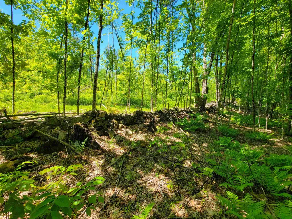 310 Sky Farm Lane Barnet VT 05821