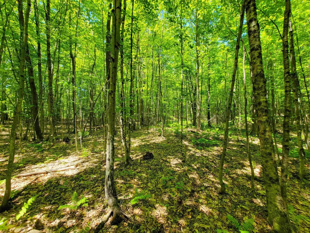 310 Sky Farm Lane Barnet VT 05821