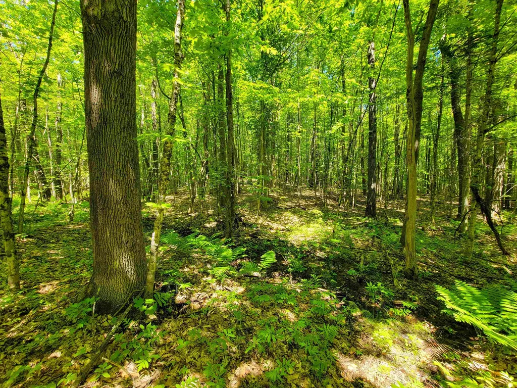 310 Sky Farm Lane Barnet VT 05821