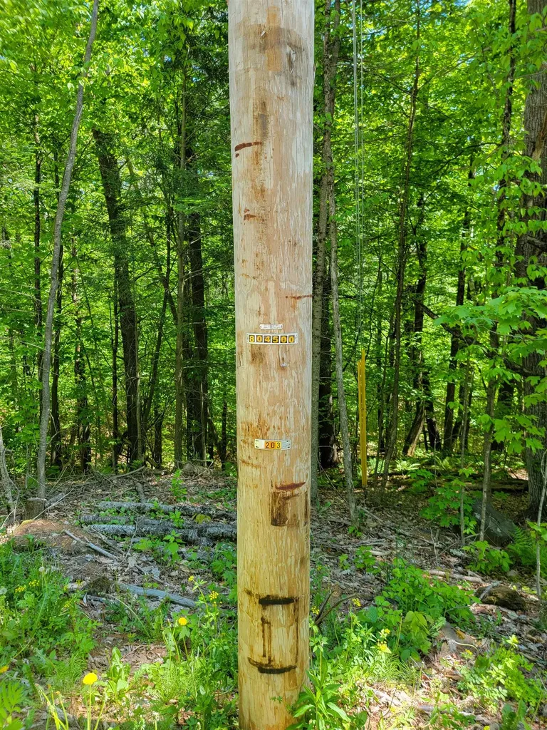 310 Sky Farm Lane Barnet VT 05821