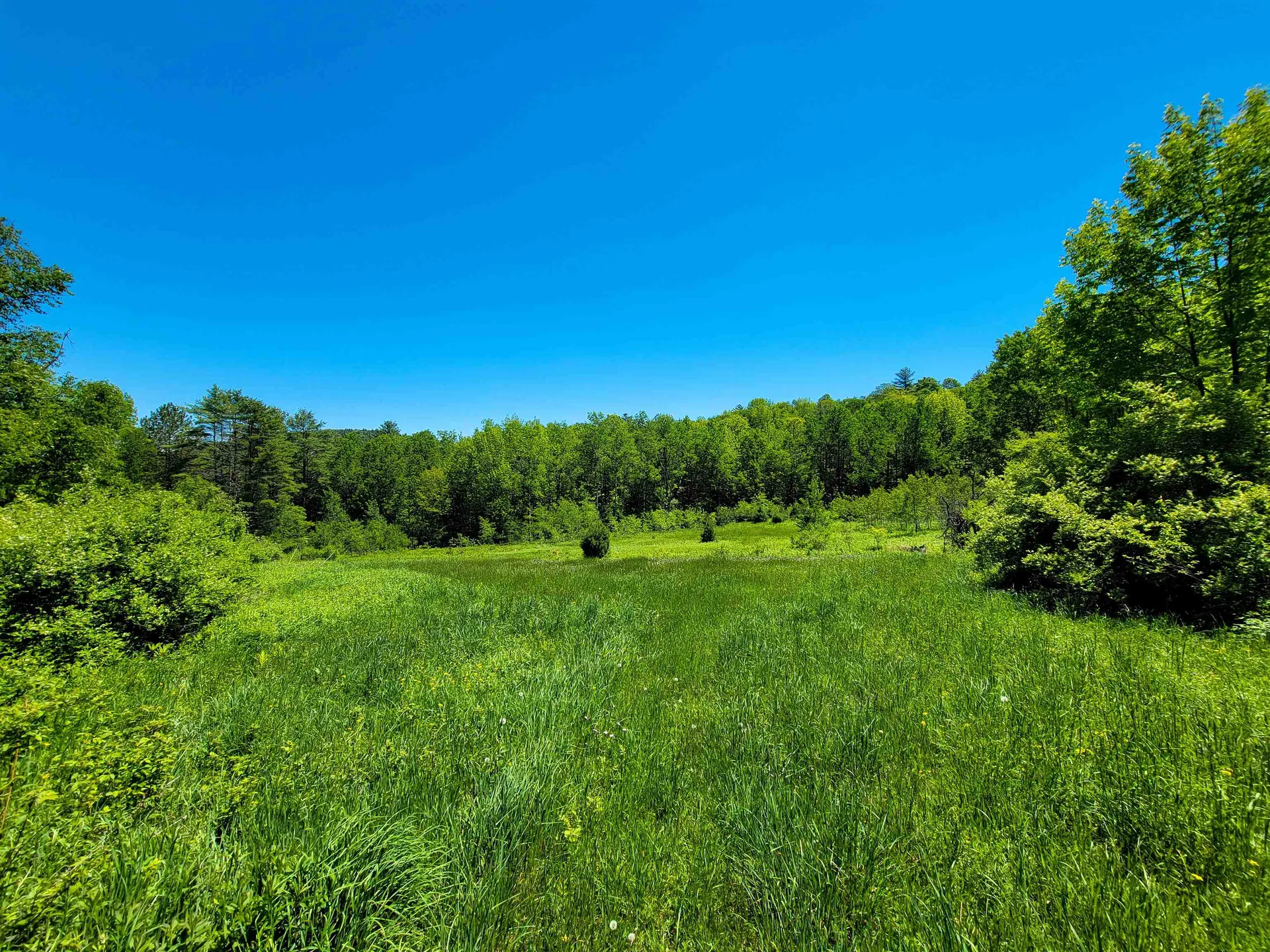 310 Sky Farm Lane Barnet VT 05821