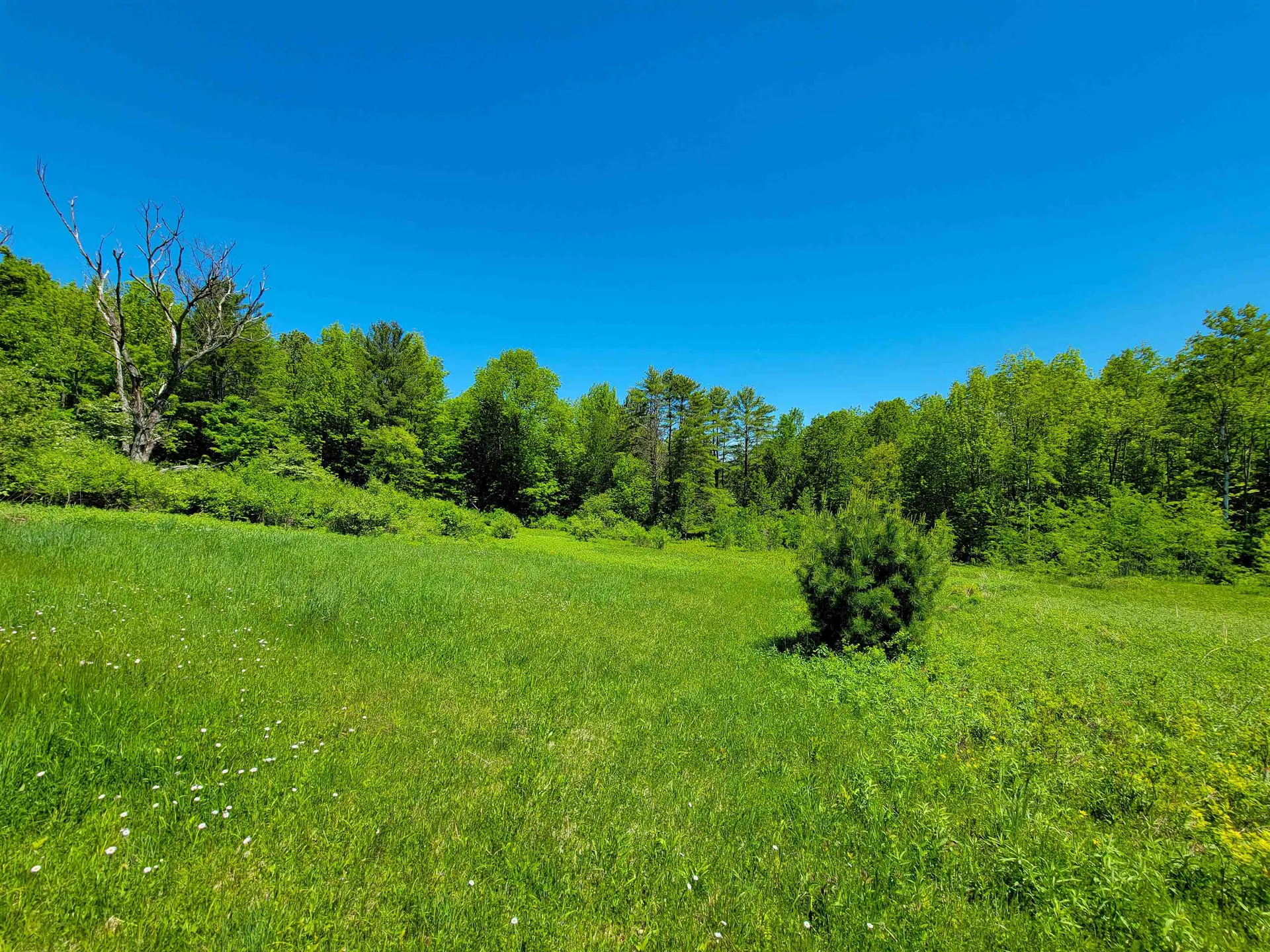 310 Sky Farm Lane Barnet VT 05821