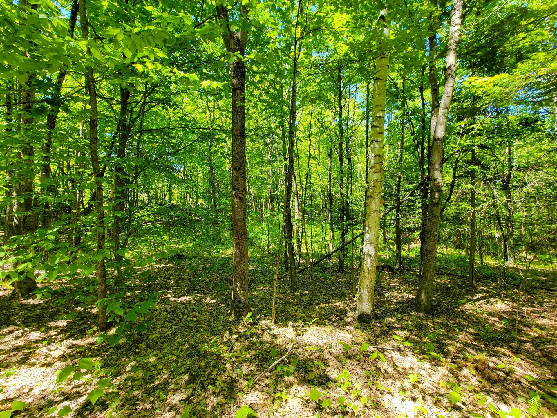 310 Sky Farm Lane Barnet VT 05821