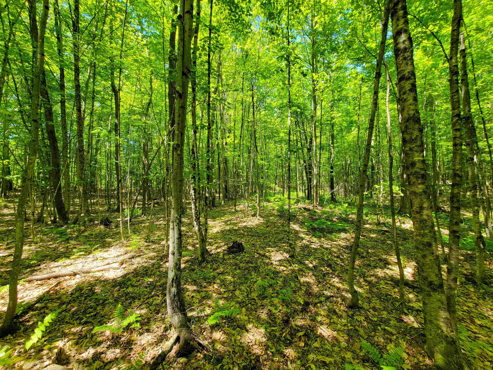 310 Sky Farm Lane Barnet VT 05821