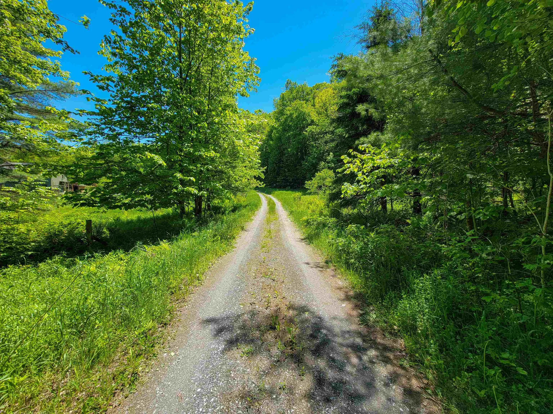 310 Sky Farm Lane Barnet VT 05821