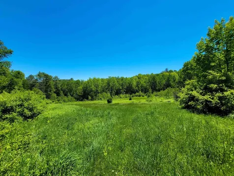 310 Sky Farm Lane Barnet VT 05821