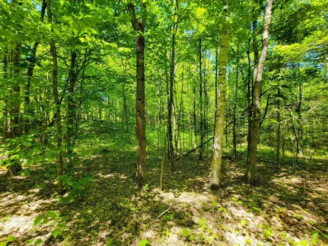 310 Sky Farm Lane Barnet VT 05821