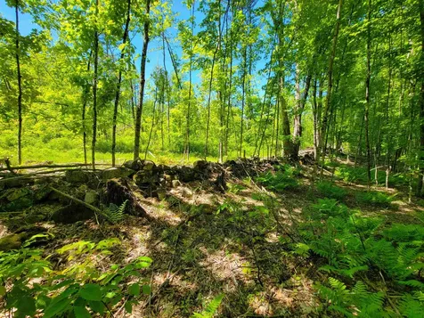 310 Sky Farm Lane Barnet VT 05821