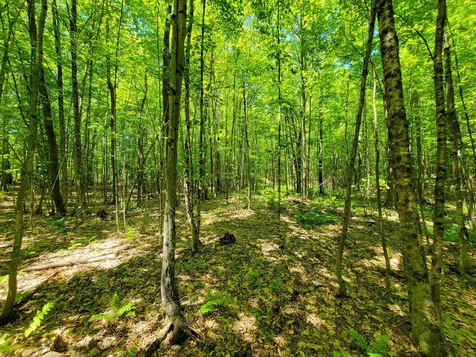 310 Sky Farm Lane Barnet VT 05821