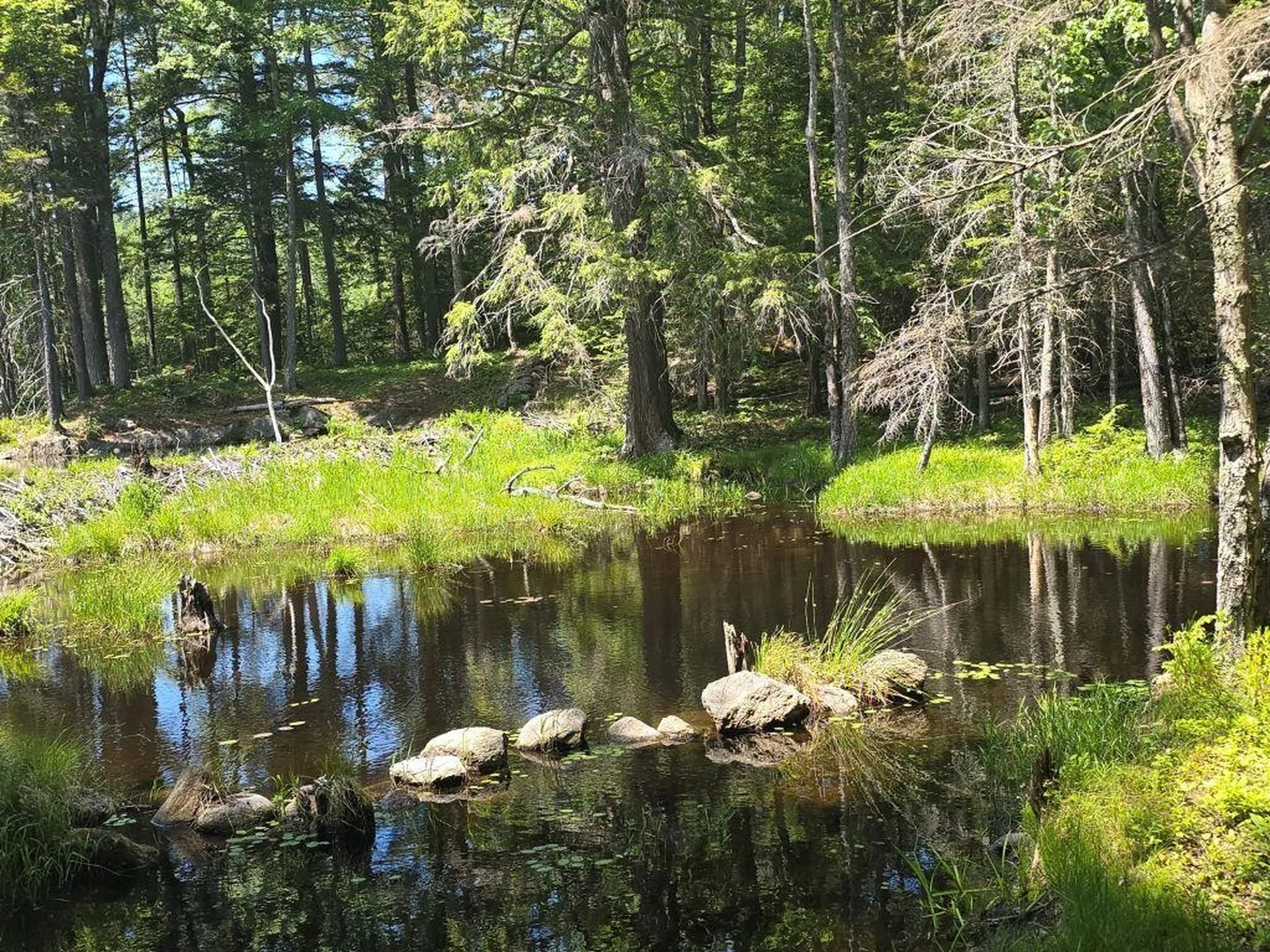 Baine Road Alstead NH 03602