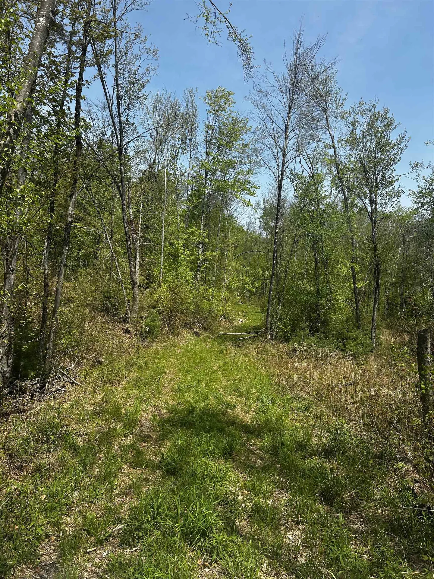 Baine Road Alstead NH 03602
