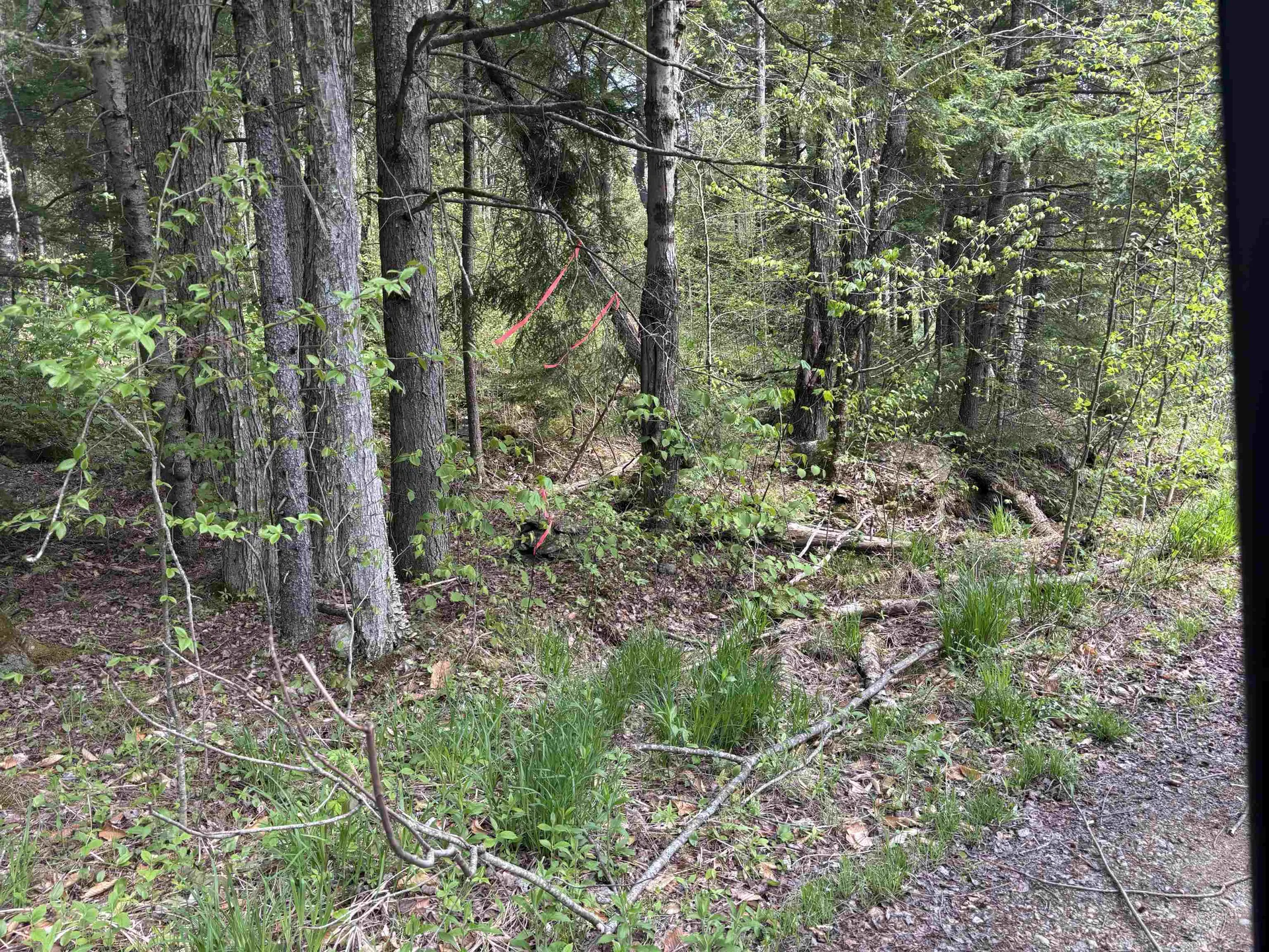 Baine Road Alstead NH 03602