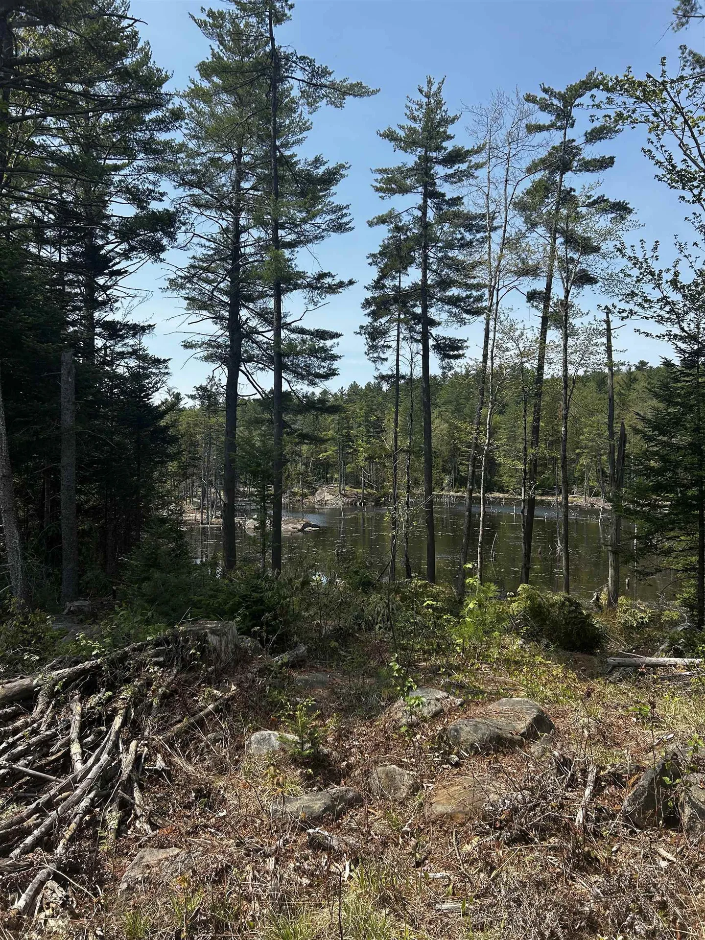 Baine Road Alstead NH 03602