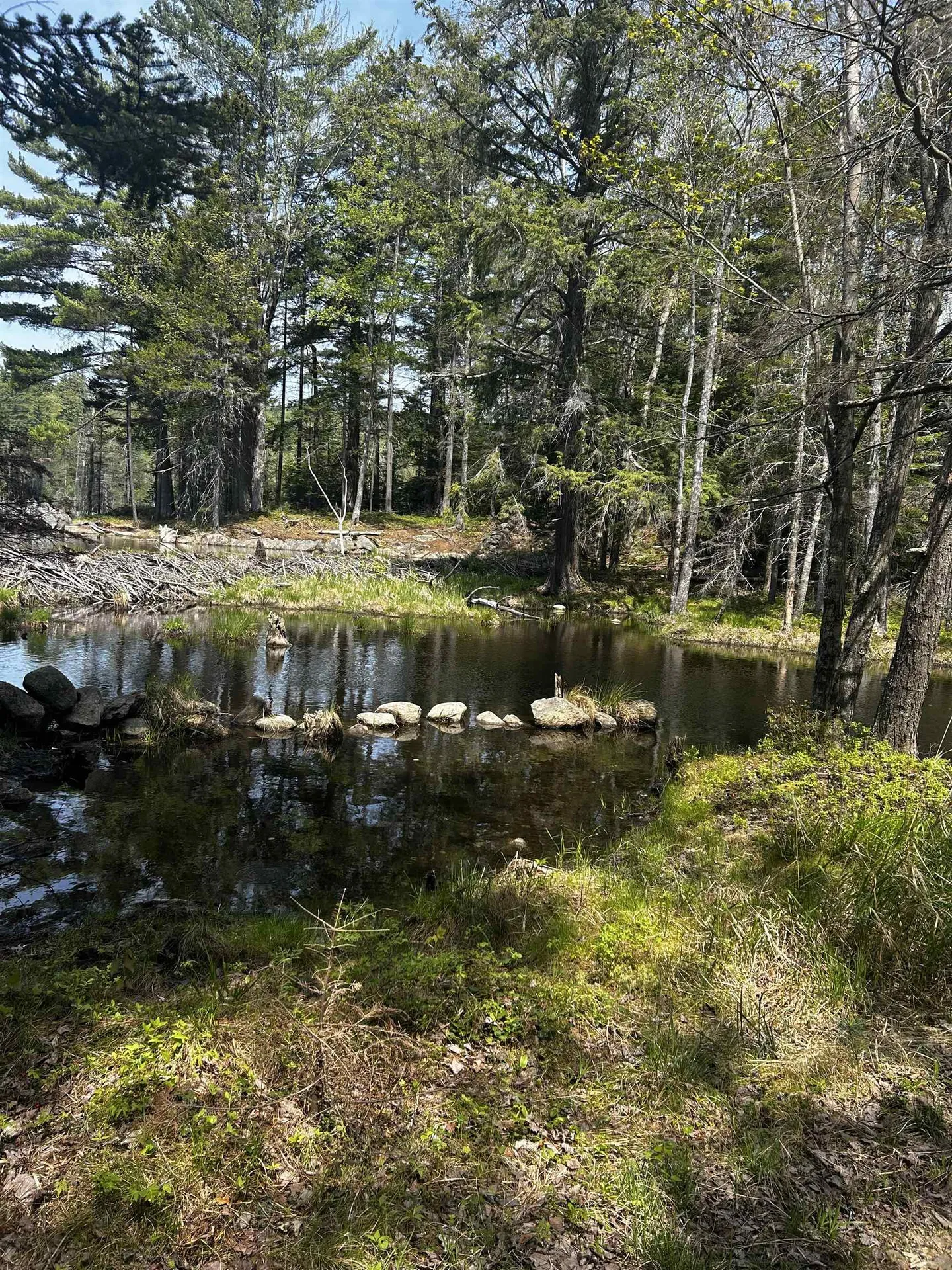 Baine Road Alstead NH 03602