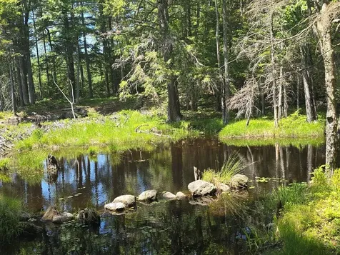 Baine Road Alstead NH 03602