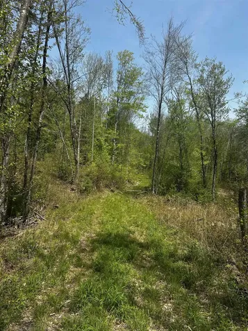 Baine Road Alstead NH 03602