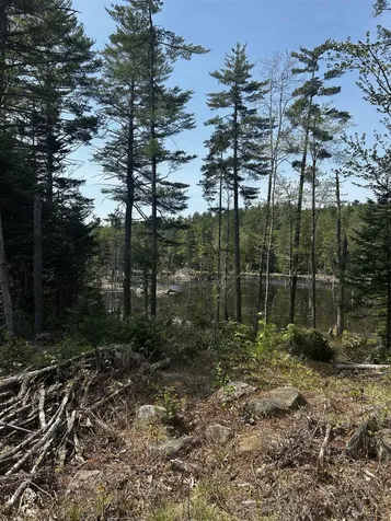 Baine Road Alstead NH 03602