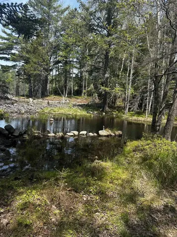 Baine Road Alstead NH 03602