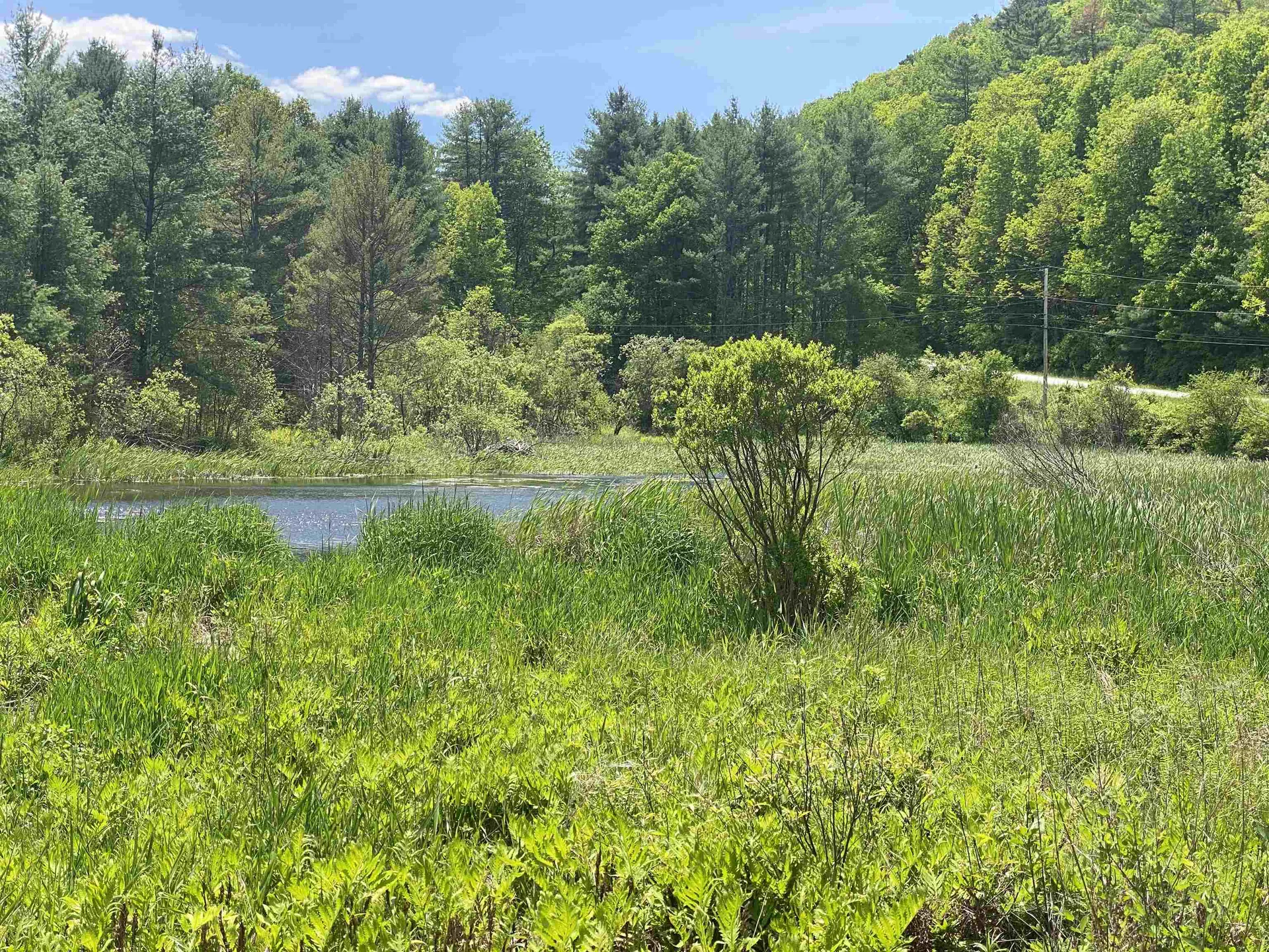 8 Norford Lake Road Norwich VT 05055