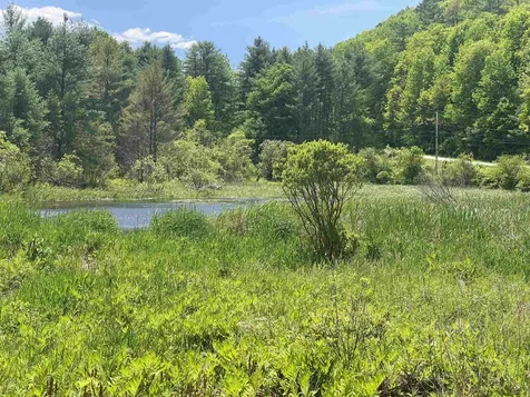 8 Norford Lake Road Norwich VT 05055