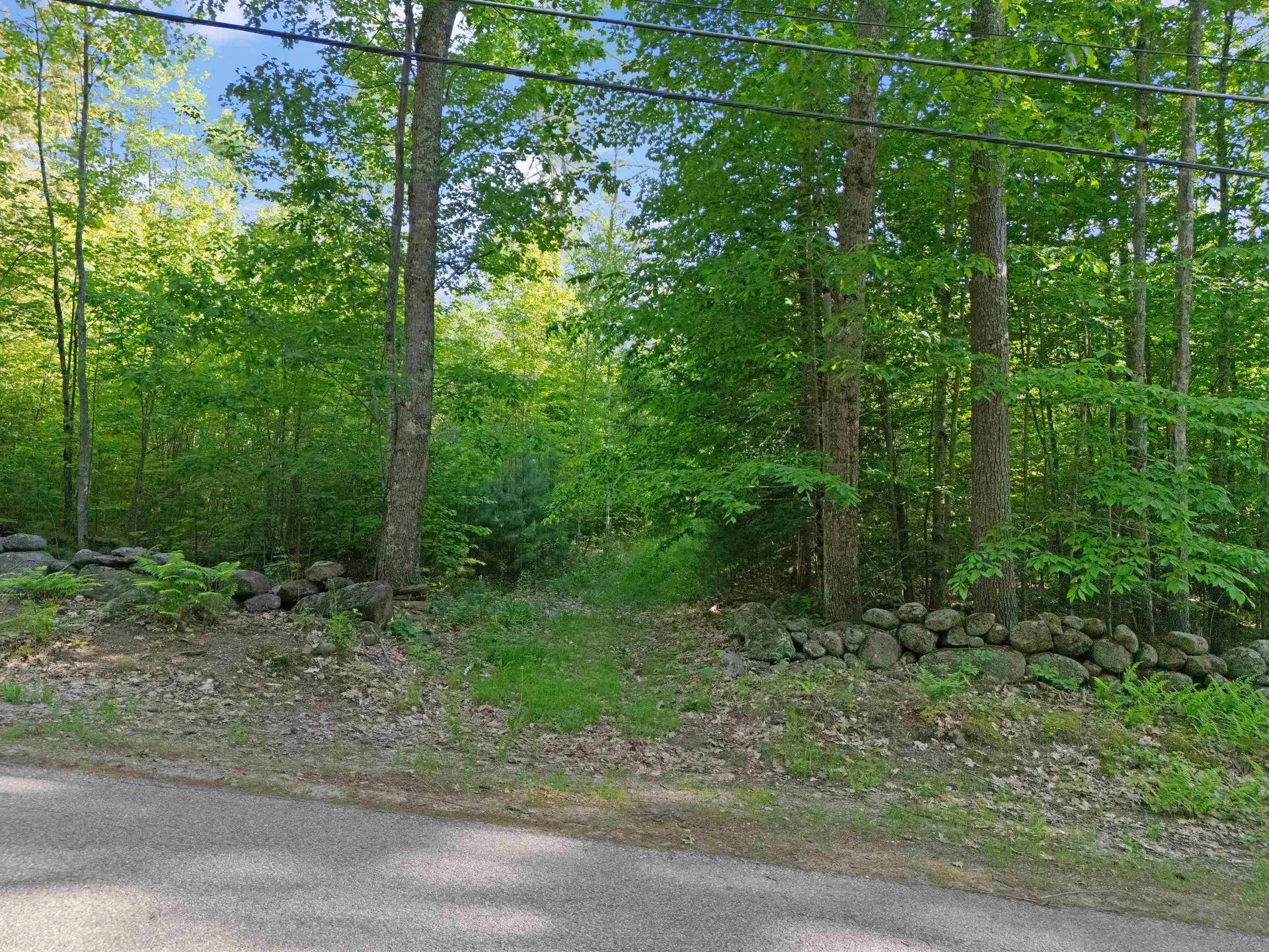 Lot 9-534-594 Chase Hill Road Andover NH 03216