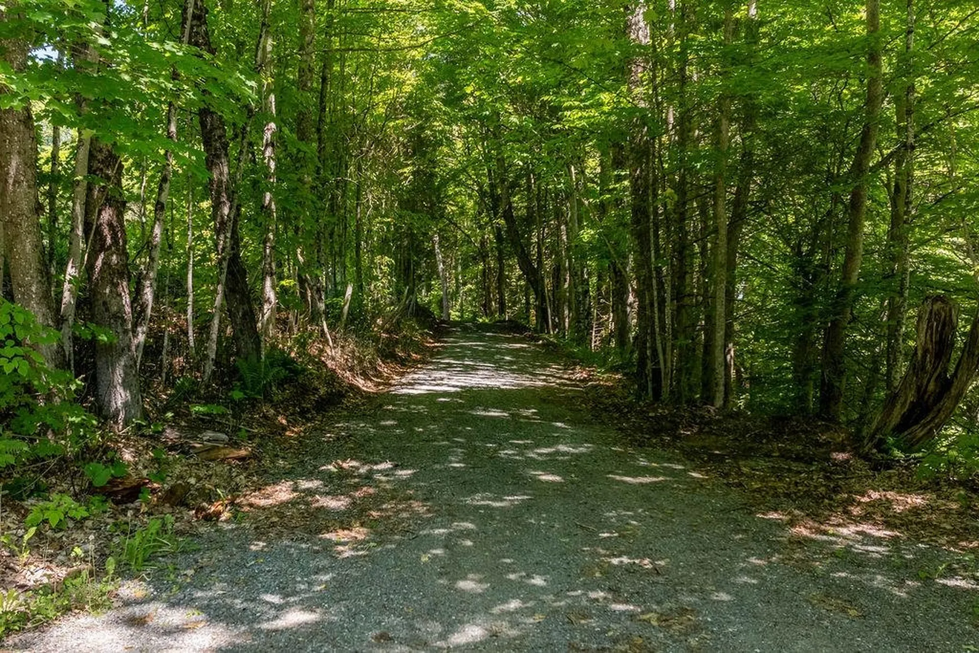 461 Harvey Mountain Road Barnet VT 05821